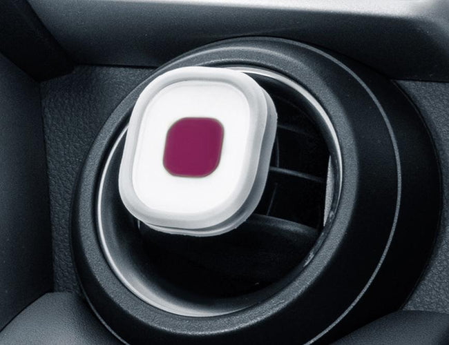 TYPE S Car Air Fresheners in Black Cherry Scent