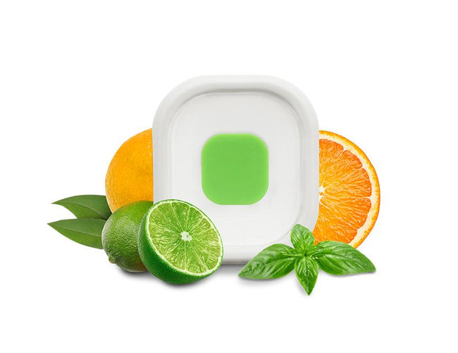 TYPE S AeroStone™ Car Air Fresheners in Lime Basil & Mandarin Scents